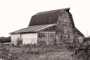 Fine-Art-Barn-Agricultural-Photography_0009